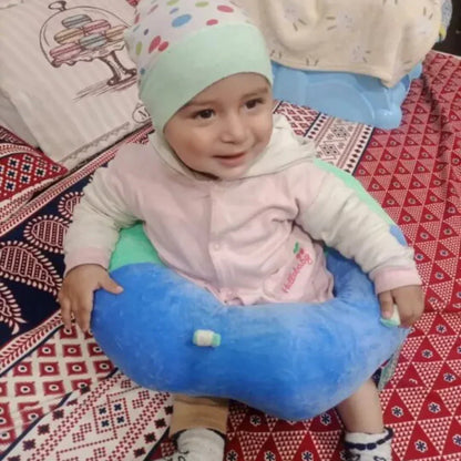 Baby Seater Support Pillow